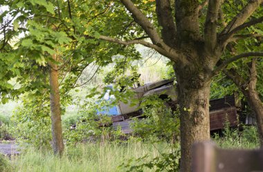 Terk edilmiş Çernobil şehrinde terk edilmiş paslı bir taşıyıcı. Seçici odaklanma. Çalılıklarda bir kamyon..