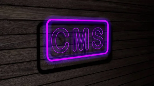 Cms Fioletowy Kolor Neon Lampy Fluorescencyjne Znaki Drewnianej Ścianie Renderowanie — Zdjęcie stockowe