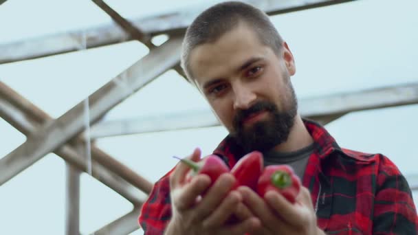 Potret Seorang Petani Berjenggot Kaukasia Yang Memegang Sebuah Paprika Merah — Stok Video
