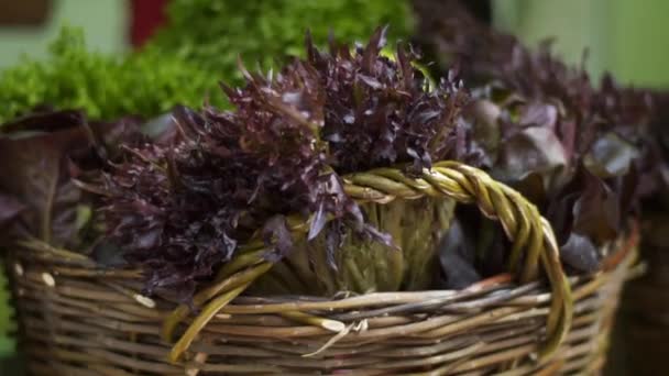 Hojas Lechuga Una Canasta Madera Una Feria Agrícola Mercado Orgánico — Vídeos de Stock