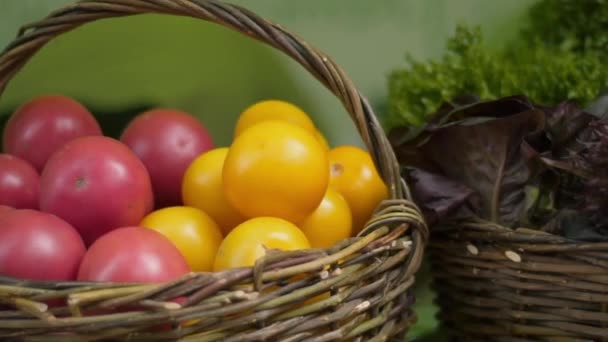 菜篮子里的有机红黄西红柿和生态农场里的莴苣 — 图库视频影像