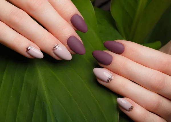 Inschrijving nette manicure op vrouwelijke handen op groene bladeren achtergrond. Nagel ontwerp — Stockfoto