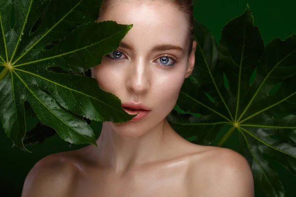 Piękna dziewczyna świeże z doskonałej skóry, naturalny makijaż i zielonych liści. Piękna twarz. — Zdjęcie stockowe