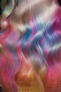 Çok renkli saç ve yaratıcı saç modeli ile güzel kız. Güzellik Saç.