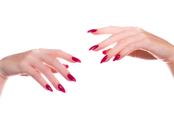 Manicura roja festiva brillante en las manos femeninas. Diseño de uñas — Foto de Stock