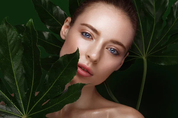 Krásná svěží dívka s dokonalou pleť, přírodní make-up a zelené listy. Krása tváře. — Stock fotografie