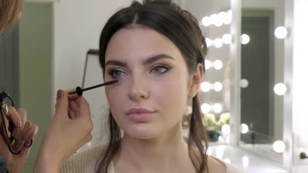 Make-up kunstenaar schildert wimpers modellen in een make-up salon. Schoonheidsgezicht. — Stockvideo