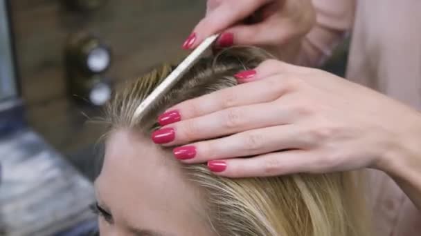 Preparazione di modello di capelli per tintura. Il parrucchiere pettina i capelli biondi prima del taglio di capelli. Salone di bellezza, parrucchiere. — Video Stock