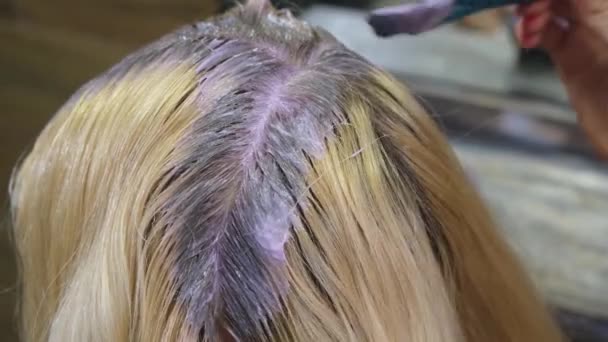 Cabeleireiro tintura cabelo cliente loiro em um salão de beleza. Cabeleireiro estúdio . — Vídeo de Stock