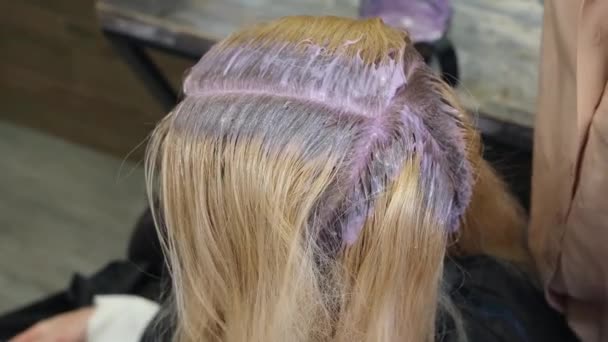Cabeleireiro tintura cabelo cliente loiro em um salão de beleza. Cabeleireiro estúdio . — Vídeo de Stock