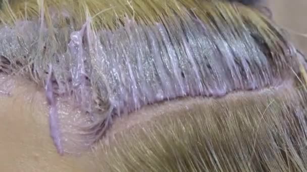 Peluquería tintes rubia cliente cabello en un salón de belleza. Peluquería estudio . — Vídeo de stock