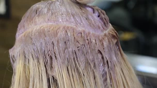 Η κομμώτρια βάφει ξανθά μαλλιά πελάτη σε κομμωτήριο. Κομμωτήριο στούντιο — Αρχείο Βίντεο