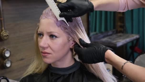 Hairdresser dyes blonde client hair in a beauty salon. Studio hairdresser — Stock Video