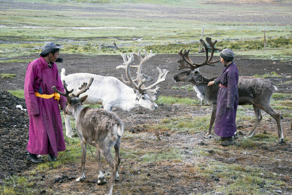 Reindeers herders family at Taiga, Mongolia. Tsaatan community