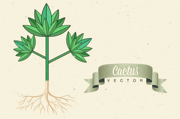 Cactus Aloe Vera Vector Ilustración — Vector de stock