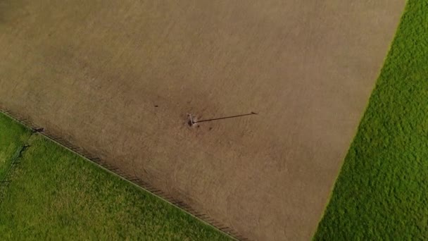 Vue aérienne d'un troupeau de moutons à la ferme à South Island, en Nouvelle-Zélande 