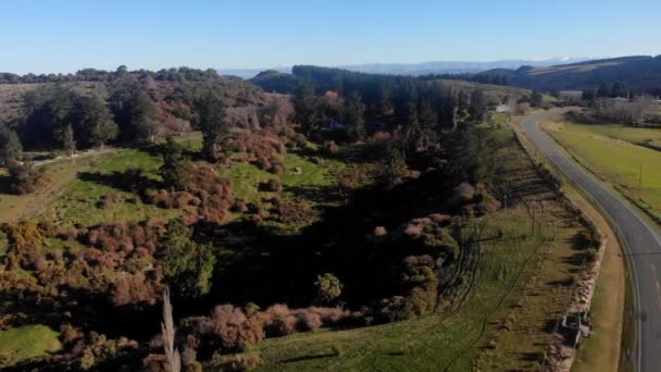 新西兰农场的风景鸟瞰 — 图库视频影像