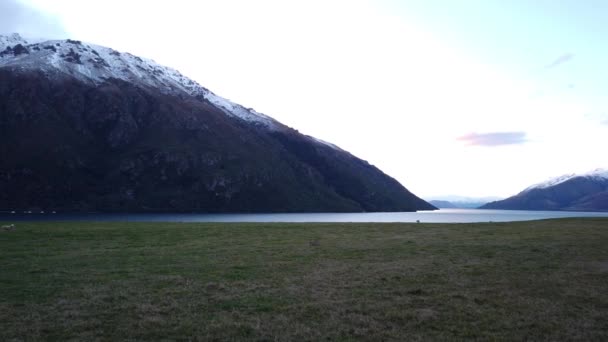 Сценические Горные Пейзажи Южного Острова Новой Зеландии — стоковое видео