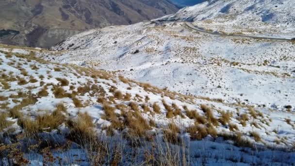 Paisajes Escénicos Montaña Nueva Zelanda Isla Sur — Vídeo de stock