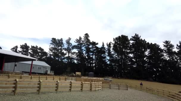 Un troupeau de moutons dans une ferme de l'île du Sud, en Nouvelle-Zélande 