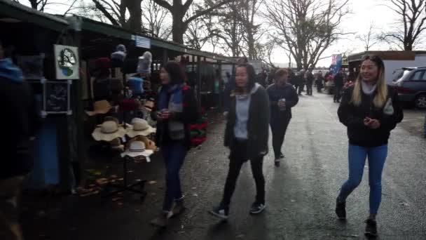 Riccarton Sunday Market New Zealand Largest Outdoor Market Major Christchurch — стоковое видео