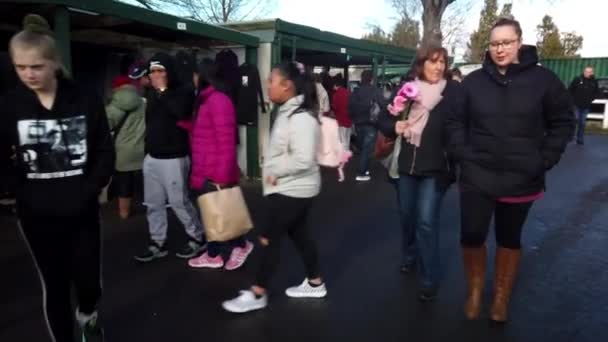 Riccarton Sunday Market Nya Zeelands Största Utomhusmarknad Och Stor Christchurch — Stockvideo