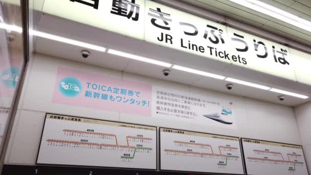 Menschen Kaufen Fahrkarte Für Zug Der Linie Automaten — Stockvideo
