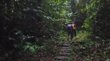 Yağmurlu bir günde Gunung Gading Ulusal Parkı, Luncu, Sarawak 'ta orman yolunda ilk insan görüşü. 