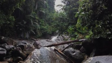 Yağmurlu bir günde Gunung Gading Ulusal Parkı, Lundu, Sarawak 'taki şelalenin sinematik görüntüleri.