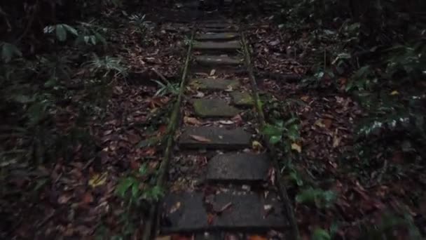 雨の日には サラワク州ルヌク県グヌン ガディング国立公園のジャングルトレイルを歩く最初の人の眺め — ストック動画