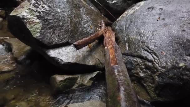 Κινηματογραφική Λήψη Του Καταρράκτη Μέσα Στη Ζούγκλα Στο Εθνικό Πάρκο — Αρχείο Βίντεο
