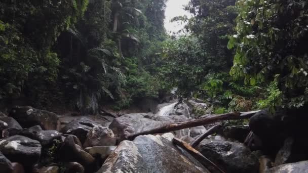 Cinematografische Opname Van Waterval Jungle Het Gunung Gading National Park — Stockvideo