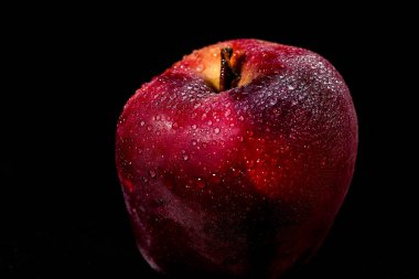 Siyah arka planda izole edilmiş taze ve lezzetli kırmızı elma, elma üzerinde su damlacıkları, seçici odak