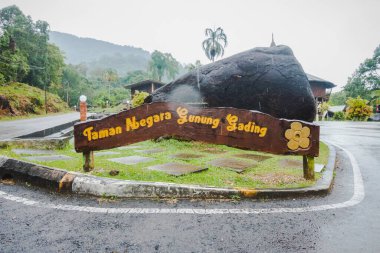 Taman Negara Gunung Gading ya da Gunung Gading Ulusal Parkı, Lundu, Rafflesia 'nın Sarawak' taki evi.
