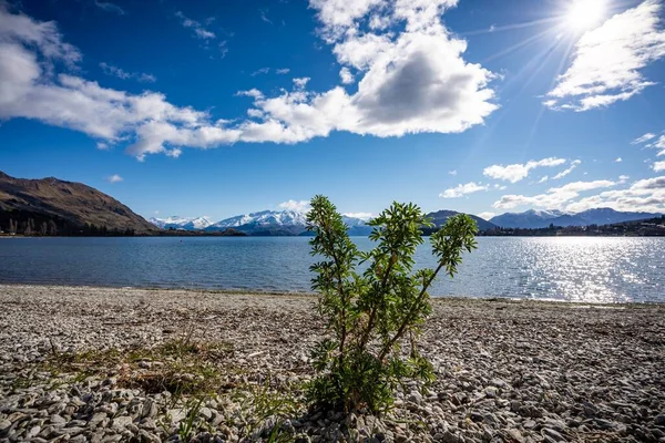 Живописный Вид Озеро Ванака Южный Остров Новая Зеландия — стоковое фото
