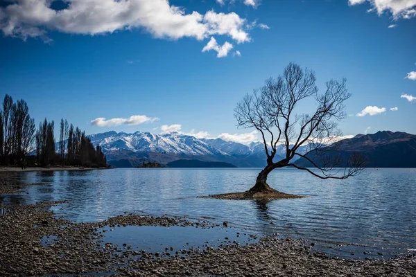 Magányos Wanaka South Island Zéland — Stock Fotó