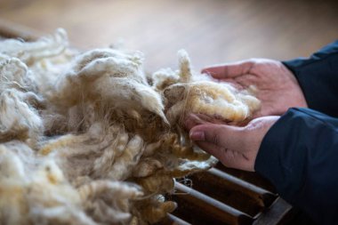 waman 'ın eli koyun kürkü tutuyor.