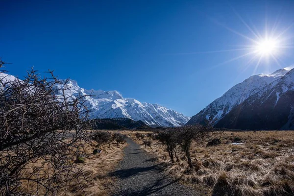 Blick Auf Den Mount Cook Oder Aoraki Südinsel Neuseeland — Stockfoto