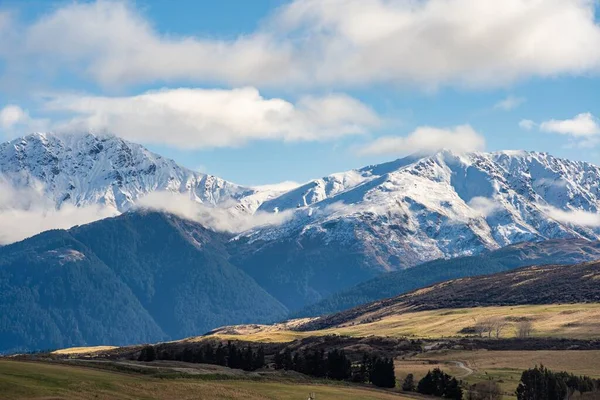Сценарий Сельхозугодий Новой Зеландии — стоковое фото