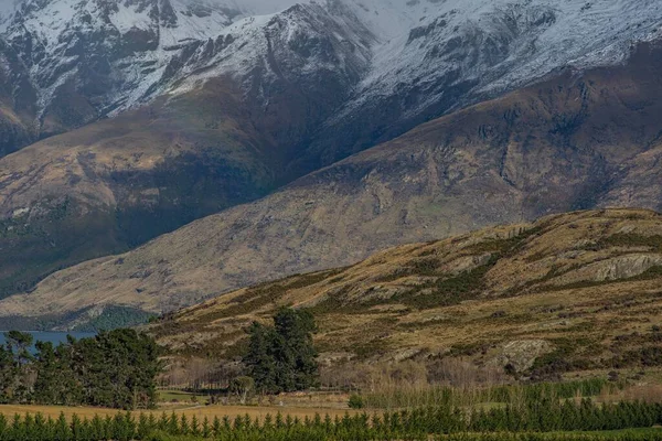 Malownicze Ujęcie Nowozelandzkiej Ziemi Uprawnej — Zdjęcie stockowe