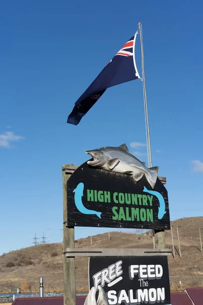 Signalisation Saumon Haute Campagne Nouvelle Zélande — Photo