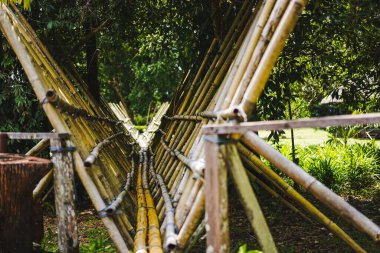 Bambu köprüsü ormanın içindeki bir nehirden geçiyor.