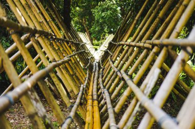 Bambu köprüsü ormanın içindeki bir nehirden geçiyor.