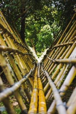 Bambu köprüsü ormanın içindeki bir nehirden geçiyor.