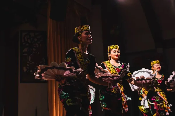 Danza Tradicional Sarawakian Orang Ulu Una Las Etnias Locales Sarawak — Foto de Stock