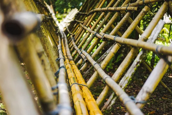 Bambusbrücke Über Einen Fluss Dschungel — Stockfoto