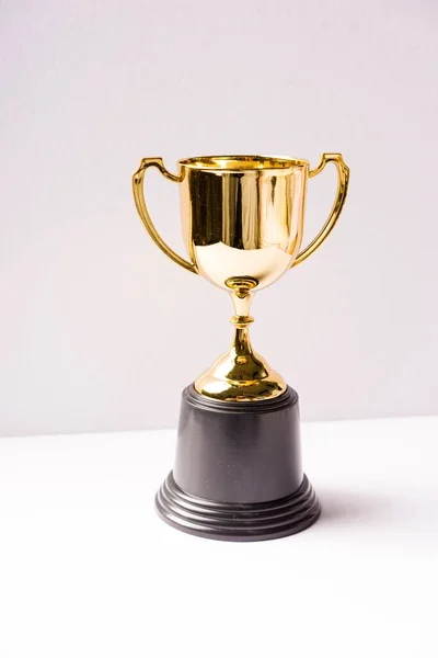 Isolated Shot Trophy Replica White Background — Stock Photo, Image