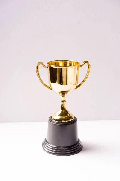 Isolated Shot Trophy Replica White Background — Stock Photo, Image