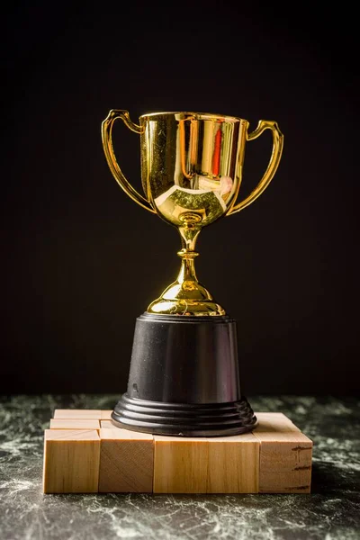 Trophy Replica Geïsoleerd Tegen Zwart — Stockfoto