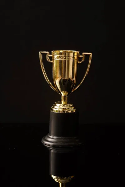 Trophy Replica Isolated Black — Stock Photo, Image